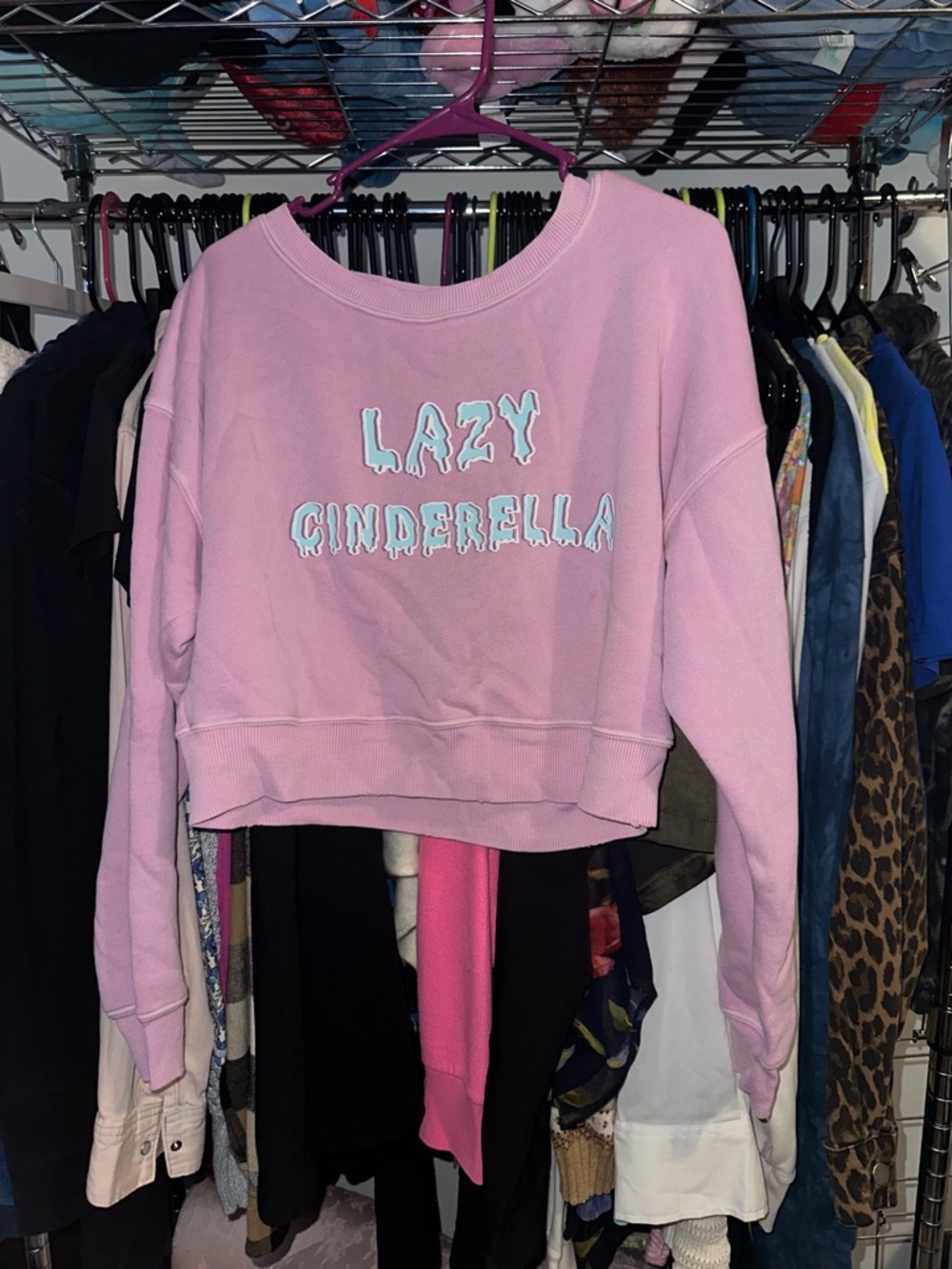 Wildfox Pink Crewneck Sweatshirt with Silver Label